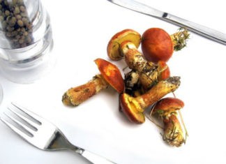 Sagra delle tacchie ai funghi porcini 1332 0 Sagra delle tacchie ai funghi porcini